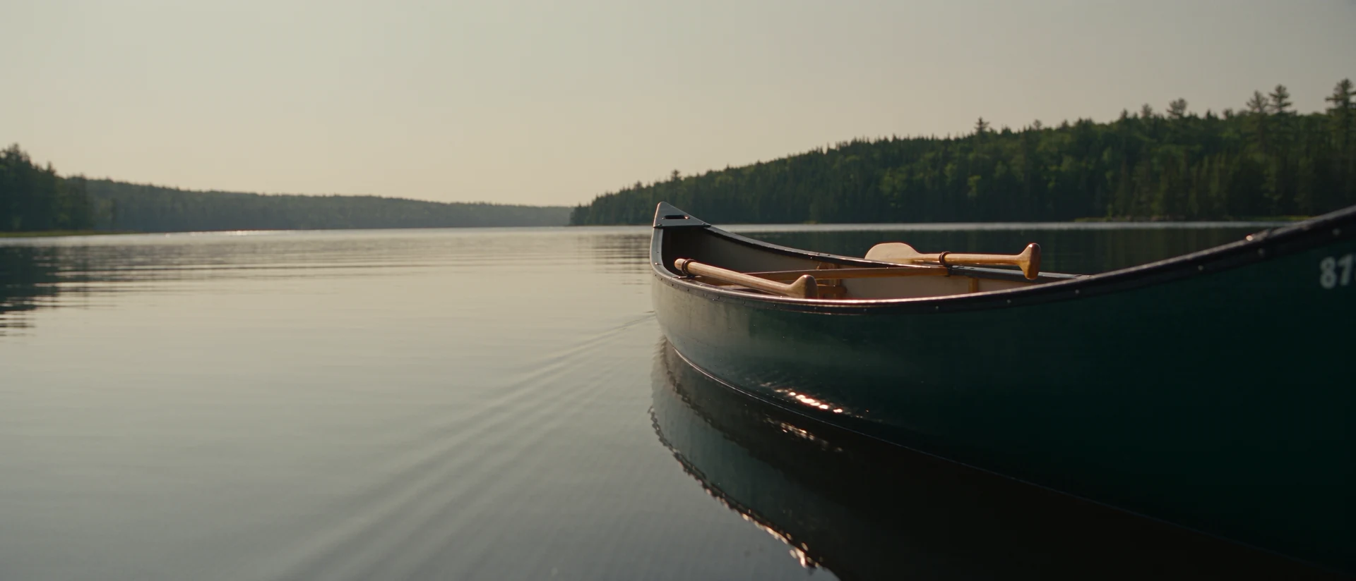 Filmic symbolic motif: a dark green Canadian on a wooded lake.
