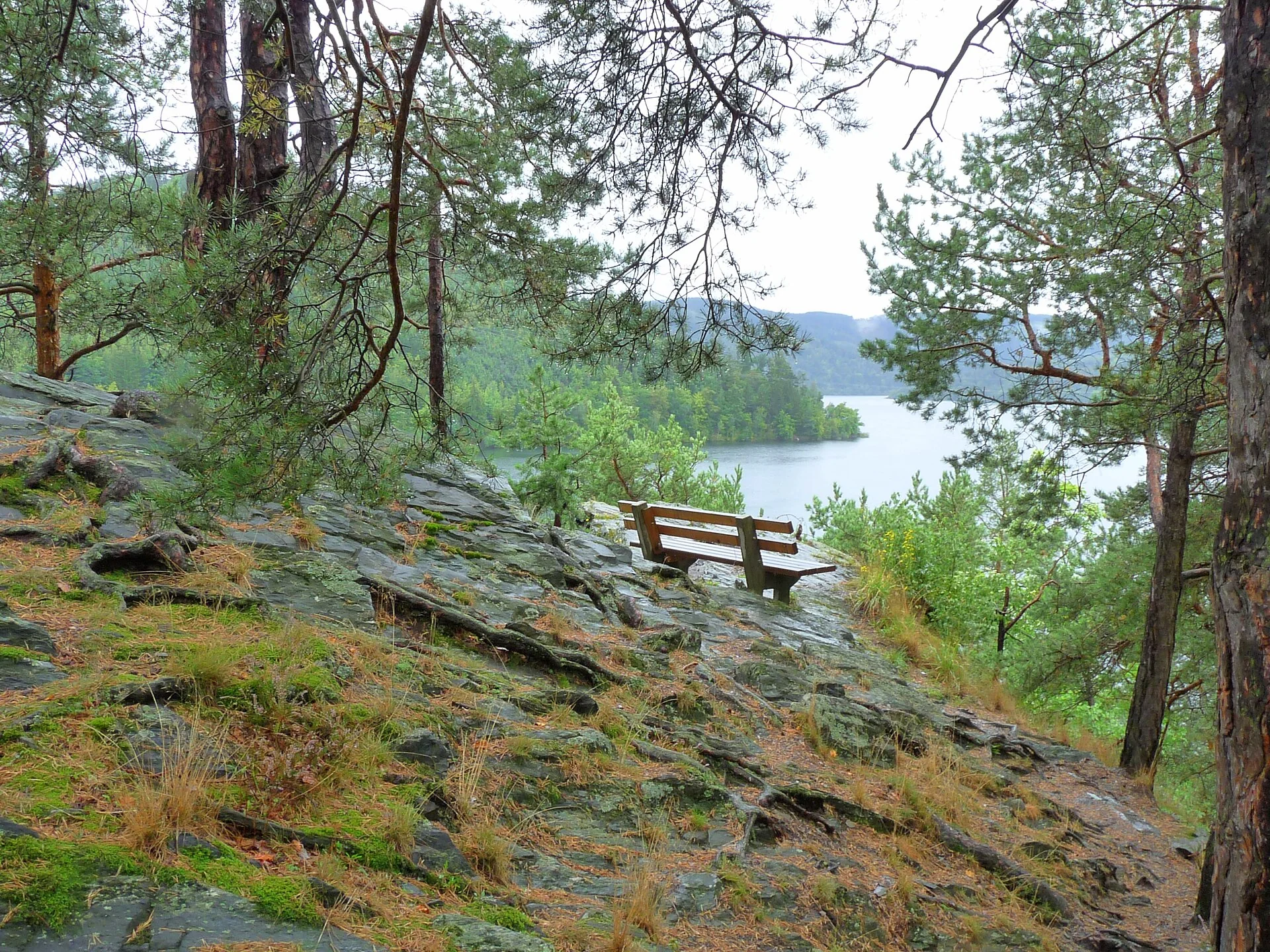 Stop at the Hohenwarte circular hiking trail with a view of the reservoir.